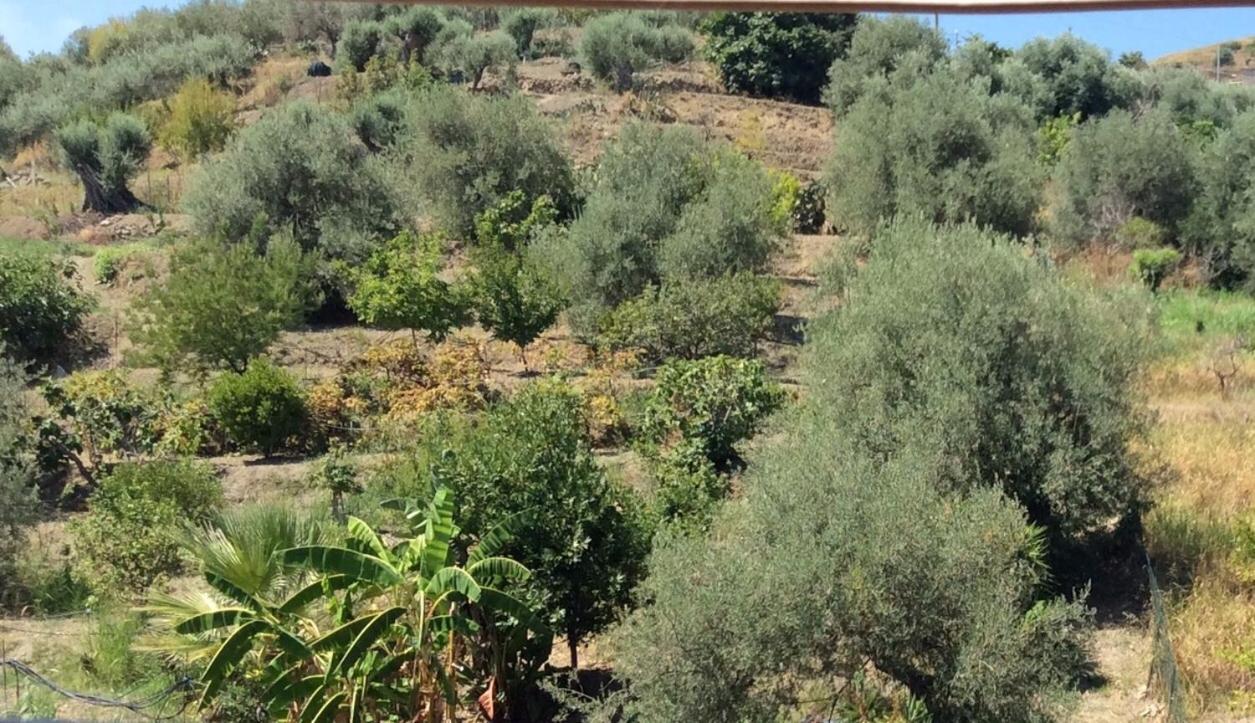 B&B Domus Candida Calatabiano Εξωτερικό φωτογραφία
