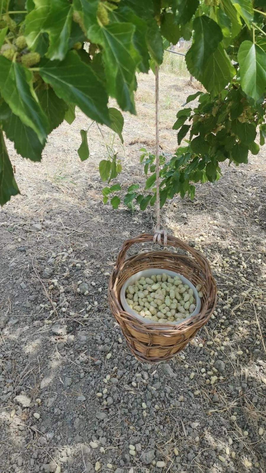 B&B Domus Candida Calatabiano Εξωτερικό φωτογραφία