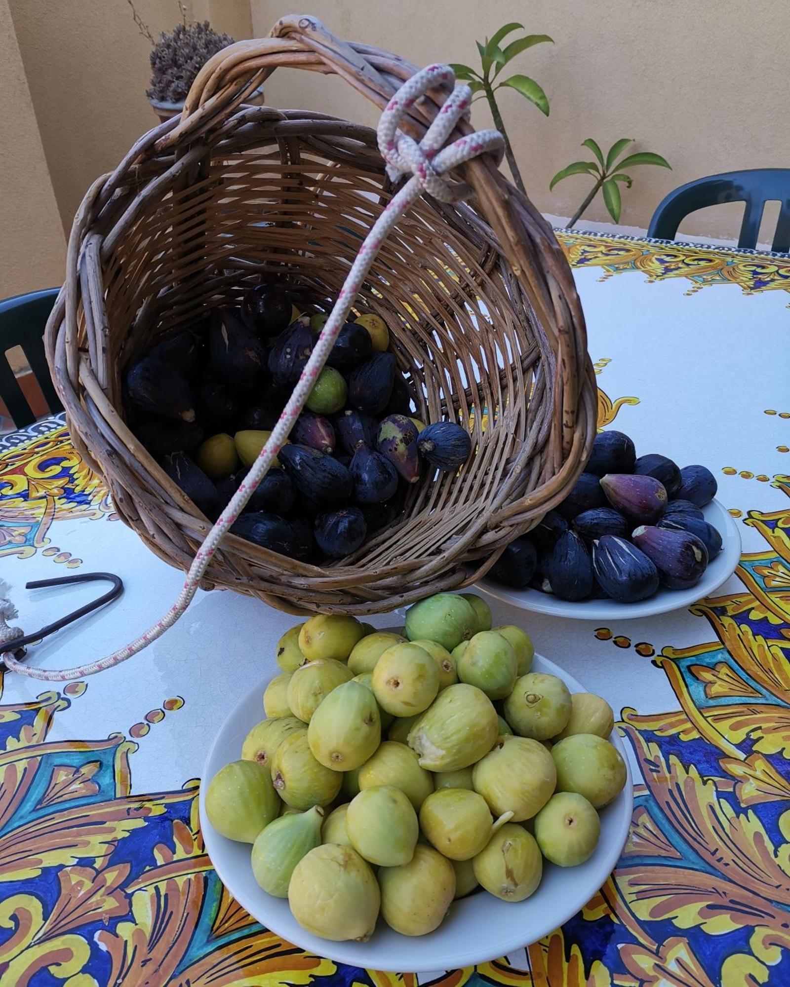 B&B Domus Candida Calatabiano Εξωτερικό φωτογραφία